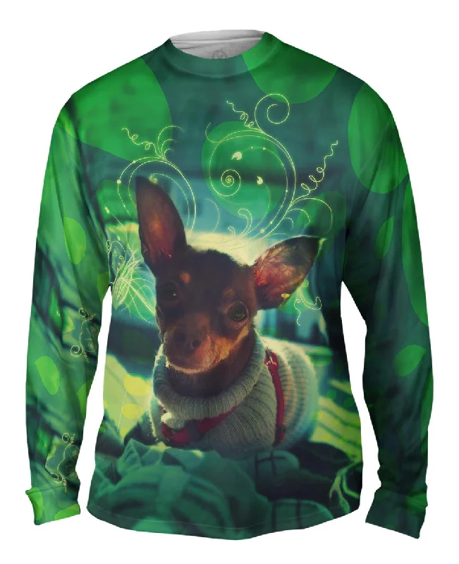 Cute Chihuahua Sweater Dog